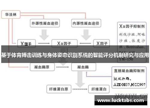 基于体育搏击训练与身体姿态识别系统的智能评分机制研究与应用